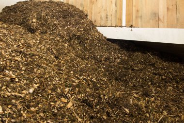 Biyokütle, odun parçacıkları şeklinde ve kirli bir yığın üzerinde biyokütle kazanları için yakıt olarak yatıyor.