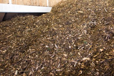 Biyokütle, odun parçacıkları şeklinde ve kirli bir yığın üzerinde biyokütle kazanları için yakıt olarak yatıyor.