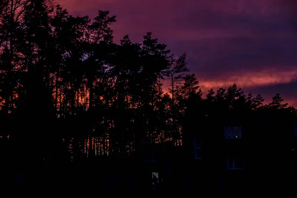 Puesta Sol Sobre Bosque Con Cielo Inusualmente Colorido Como Fondo — Foto de Stock