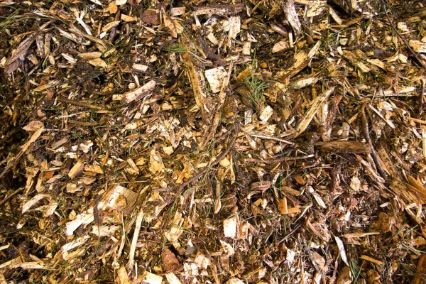 Biomasa Forma Astillas Madera Con Impurezas Depositadas Montón Como Combustible —  Fotos de Stock