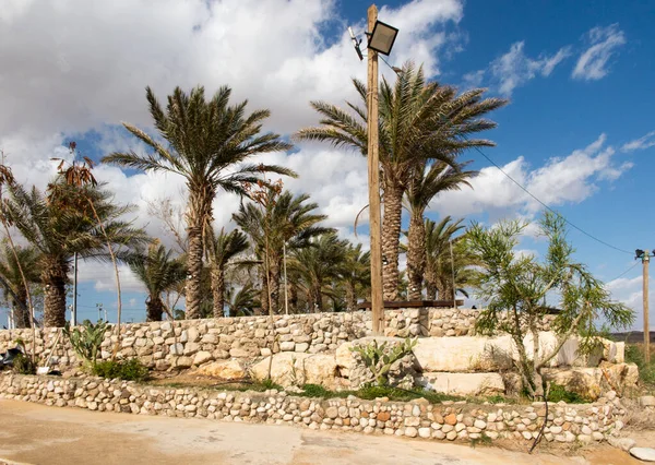 Fragment Shore Dead Sea Israel Palm Trees Beach — Stock Photo, Image