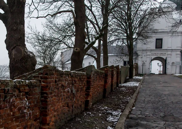 Sanctuary Basilica Nativity Blessed Virgin Mary Chelm Eastern Poland Lublin — Stock Photo, Image