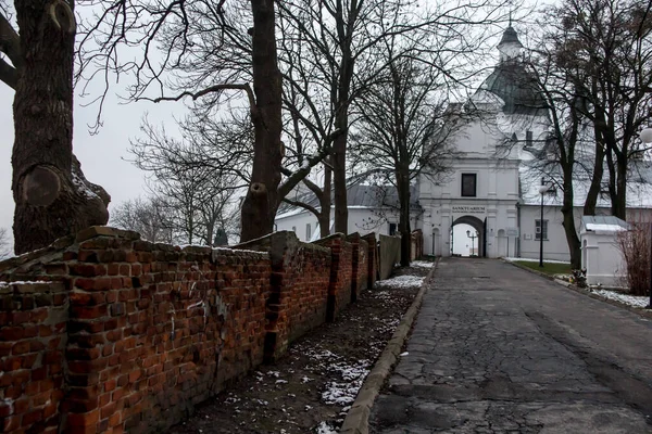 폴란드 루블린 첼름에 축복받은 동정녀 마리아의 탄생의 대성당이다 구름낀 겨울날이른 — 스톡 사진