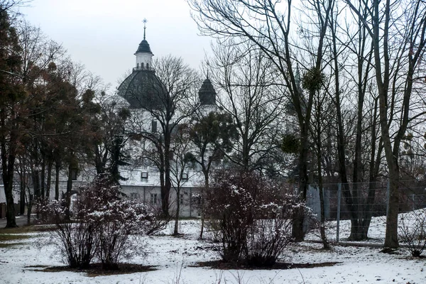 폴란드 루블린 첼름에 축복받은 동정녀 마리아의 탄생의 대성당이다 구름낀 겨울날이른 — 스톡 사진