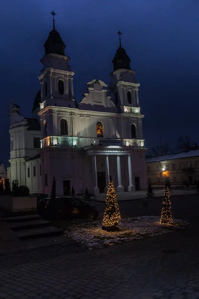 Santuario Basílica Natividad Santísima Virgen María Chelm Este Polonia Cerca —  Fotos de Stock