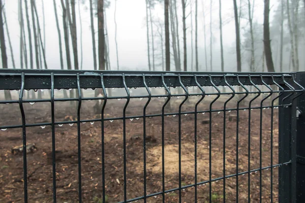 Fragment Metal Fence Frozen Raindrops Hazy Forest Background — Stock Photo, Image