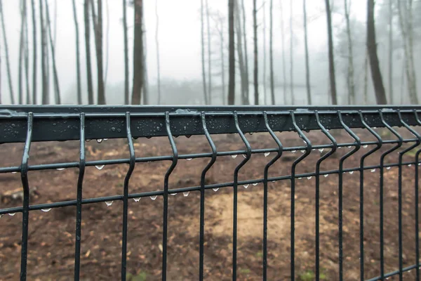 Fragment Metal Fence Frozen Raindrops Hazy Forest Background — Stock Photo, Image