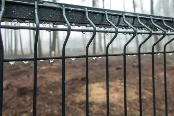 Fragment Metal Fence Frozen Raindrops Hazy Forest Background — Stock Photo, Image