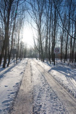 Orman yolunda, göl kenarında. Güneşli bir kış gününde.