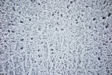 Garaj penceresindeki buz, buz tabakası arka plan olarak kullanılabilir.