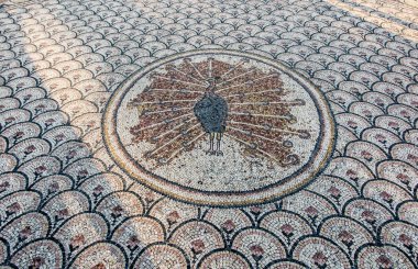 Capernaum, İsrail meydanında tavus kuşu olan bir mozaiğin parçası.