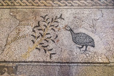 Tabgha, İsrail, 27 Ocak 2020: The Church of the Multiplication of the Loaves and the Bish with the famous moaic on the floor.