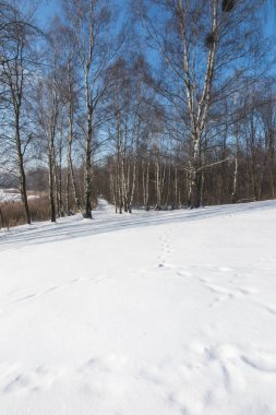 Güneşli bir kış gününde karla kaplı bir gölün üzerindeki buz kabuğu.