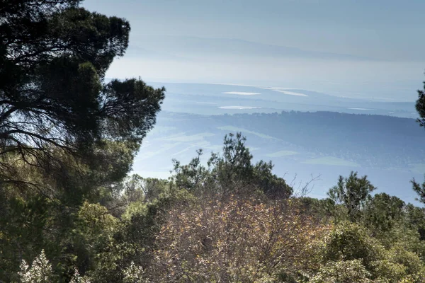 Tabor Dağı Nın Çevresindeki Bölge Srail Deki Tanrı Nın Dönüşümünden — Stok fotoğraf