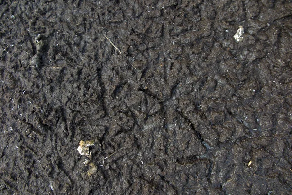 Tierra Negra Pisoteada Por Las Aves Congelada Como Fondo — Foto de Stock