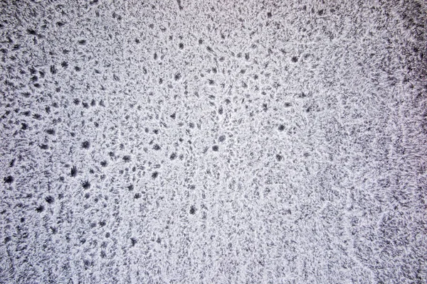 Frost Eisschicht Auf Der Garagenscheibe Als Hintergrund — Stockfoto