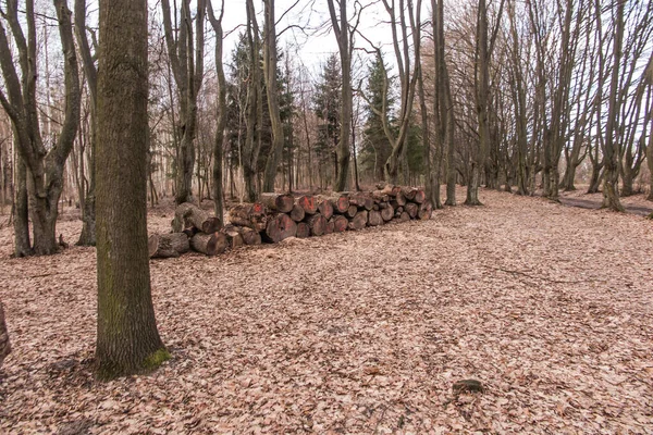 Jeruzalém Izrael Ledna 2020 Interiér Církve Všech Národů Známý Také — Stock fotografie