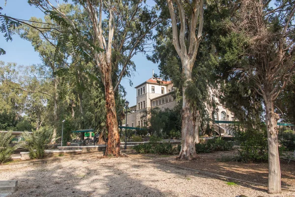 Park Beautiful Trees Church Mount Beatitudes Sea Galilee Israel — Stock Photo, Image