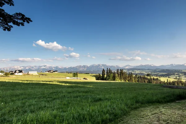 Pohled Tatry Bachledovky Začátkem Června Večer — Stock fotografie