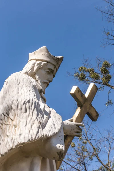 Standbeeld Langs Weg Van Sint Jan Van Nepomuk Aan Zielona — Stockfoto