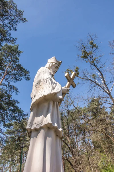 Przydrożny Pomnik Jana Nepomucena Nad Stawem Zielona Kaletach Nad Rzeką — Zdjęcie stockowe