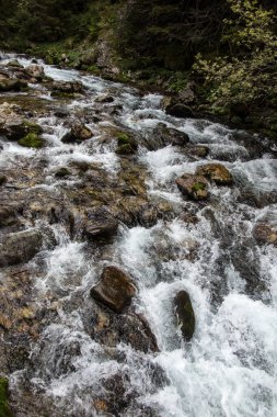 Polonya 'daki Tatra Dağları' nın alt kısımlarında, vadideki yol boyunca akan dağ deresi..