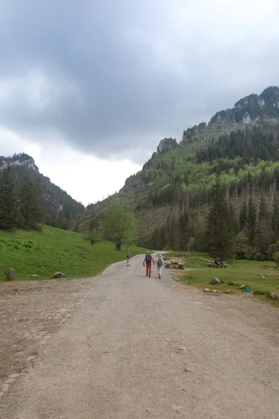 Koscieliska Valley Beginning June Few Tourists Beautiful Views — Stock Photo, Image