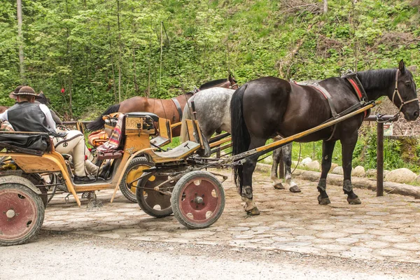 Carros Caballos Entrada Del Valle Koscieliska Polonia Esperando Los Turistas — Foto de Stock