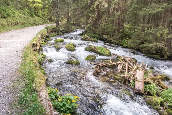 在波兰塔特拉山下游的山谷中 沿着公路流淌的山溪 — 图库照片