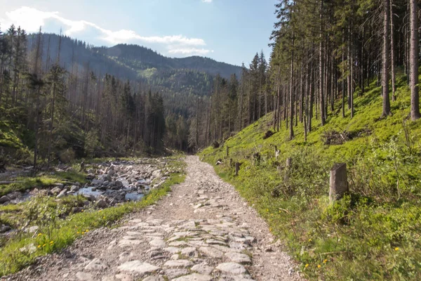 波兰人塔特拉山下游一条穿过山谷的石路 — 图库照片