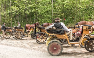 Polonya 'daki Koscieliska vadisinin girişinde ulusal parktan Ornak sığınağına gitmek isteyen turistleri bekleyen at arabaları var..