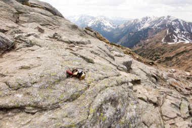 Polonya 'daki High Tatras' ta Swinica bölgesindeki bir kayanın üzerindeki asma kilit, aşık insanların sevgisini ifade etmek için, üzerinde aşıkların baş harflerinin (isimlerin) olduğu bir levha şeklinde bir asma kilit. 