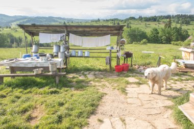 Polonya, Zakopane yakınlarında Ludzmierz - Podhale Kraliçemizin Sığınağı 'ndaki Aziz John Paul Anıtı