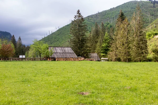 Pásztorkunyhó Koscieliska Völgyben Tátra Lengyelország — Stock Fotó