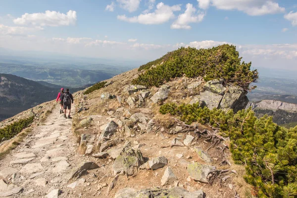 Bergwandelen Langs Tatra Trails Het Begin Van Zomer Bij Zonnig — Stockfoto