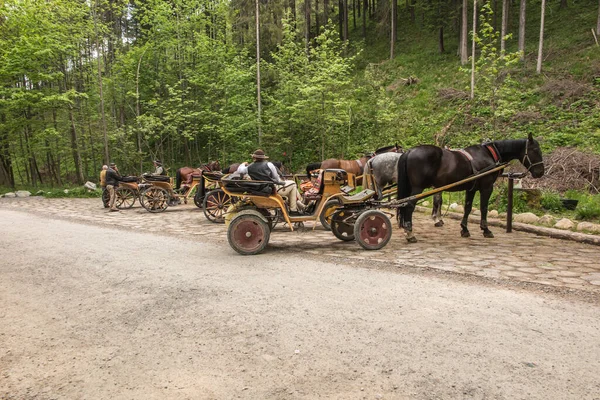 ポーランドのKoscieliska渓谷の入り口にある馬車は 国立公園を通ってOrnak避難所に行きたい観光客を待っています — ストック写真
