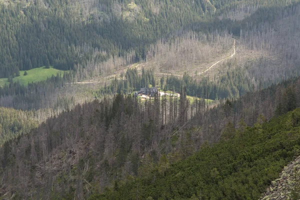 Bergschuilplaats Koscieliska Vallei Vanaf Het Pad Naar Top Van Berg — Stockfoto