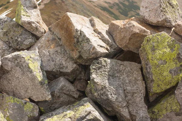 Une Souris Sous Rocher Trouvé Sur Sentier Montagne Dans Parc — Photo