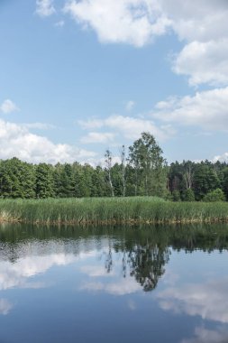 Gökyüzünün yansıması gölün yüzeyinden alınan aynadaki bulutlarla kaplı ormanda yatıyor.