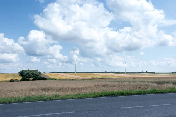 Champs Avant Récolte Moulins Dessus Eux Produisant Électricité Par Beau — Photo