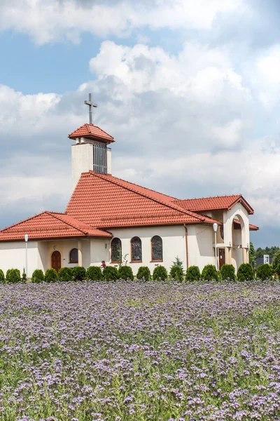 Field Blue Flowering Phacelia Front Church Dyrdy Parish Miotek Diocese — Stock Photo, Image