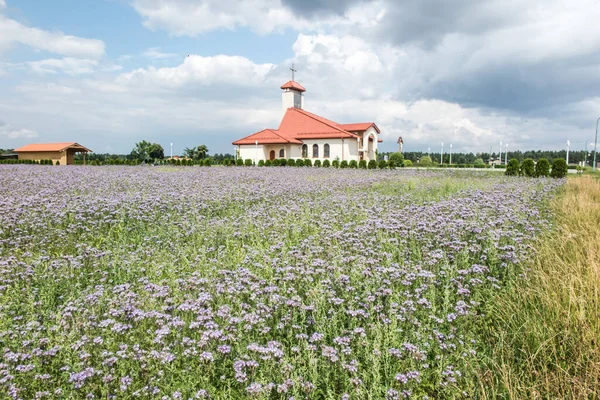 สนามดอกไม าเง าโบสถ Dyrdy ในจ งหว โอะเทคในไดโอคอสของก ประเทศโปแลนด — ภาพถ่ายสต็อก