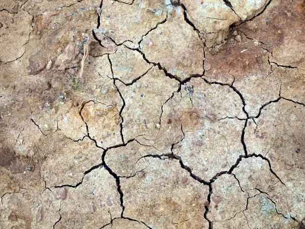 Dry cracked earth background — Stock Photo, Image