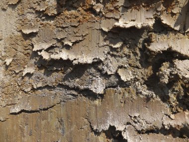 kil arka plan olarak ilginç yapısı ile kaplı