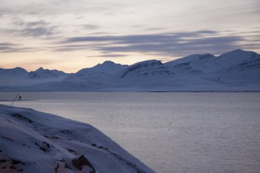 Spitsb tarihinde Rus yerleşim Barentsburg çevrenin görünümü