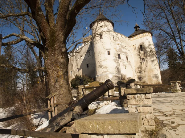 Castillo de Niedzica en el lago Czorsztyn en Polonia —  Fotos de Stock