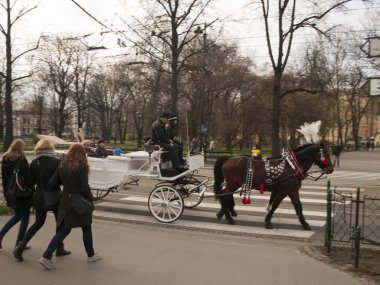 Krakow, Polonya - 29 Mart 2015: Sokaklar o at arabası