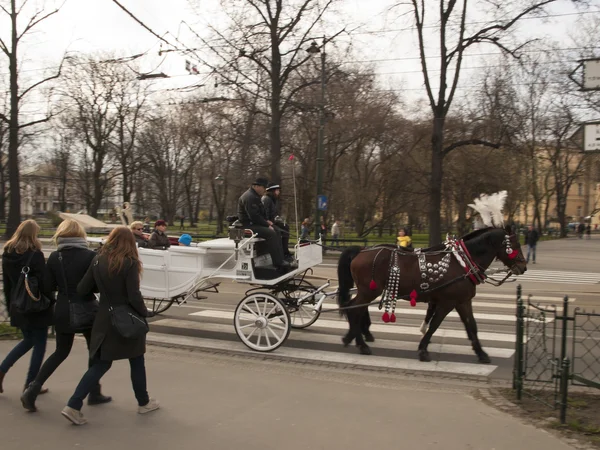 Краків, Польща - 29 березня 2015: Кінні Карети на вулицях o — стокове фото