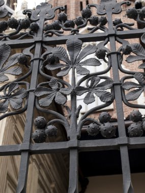 cracow wawel kalede parçasındaki dekoratif çit