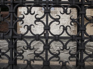 cracow wawel kalede parçasındaki dekoratif çit 